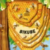 Bikube (papbog med lag)