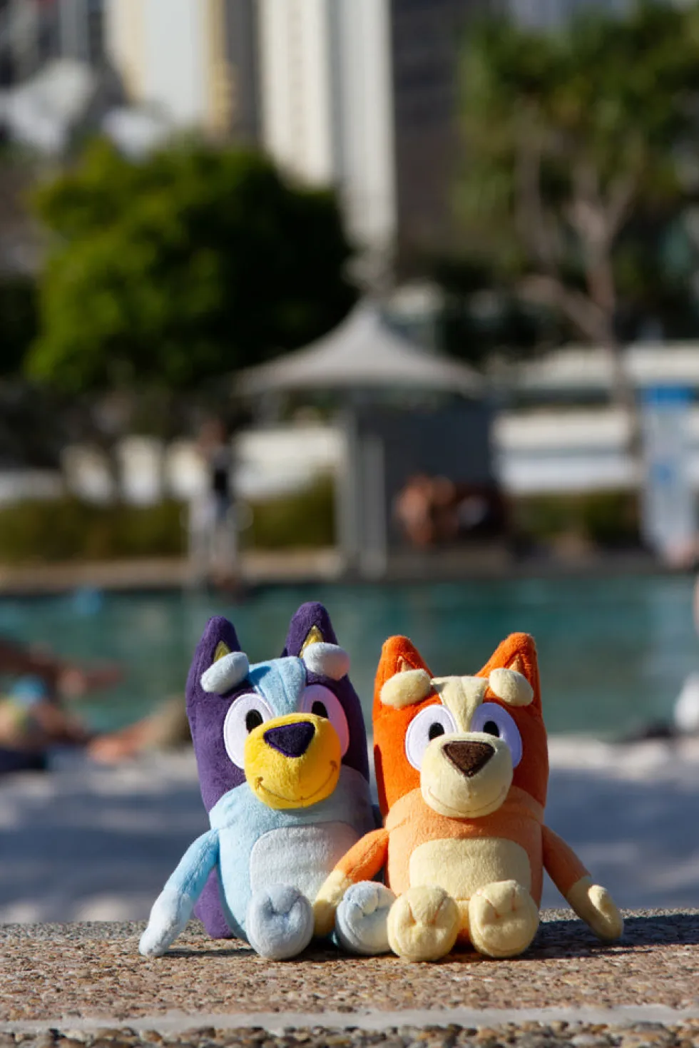 Bluey Bamse ass