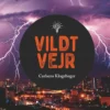Carlsens Klogebøger - Vildt vejr