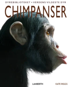 Chimpanser