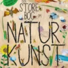 Den store bog om naturkunst