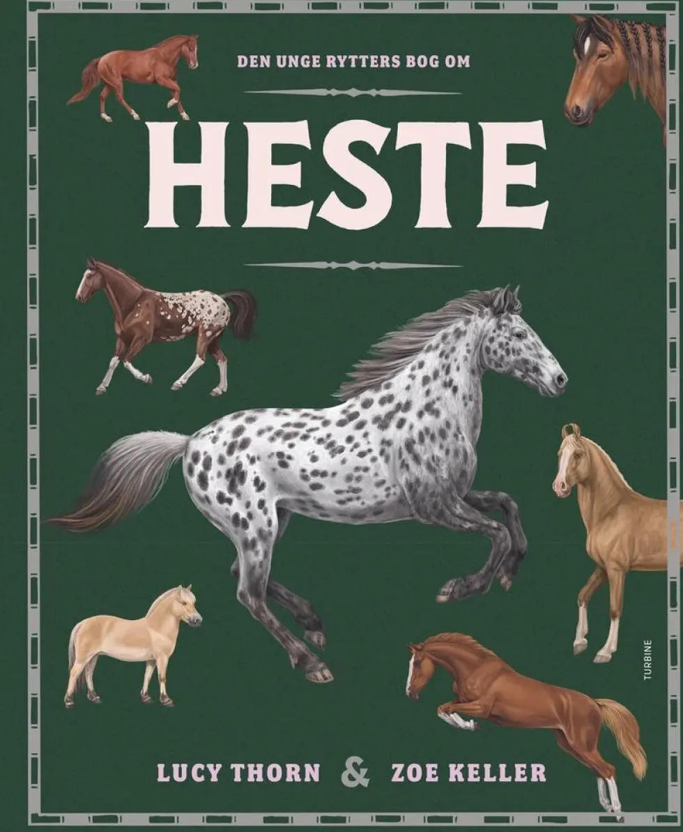 Den unge rytters bog om heste