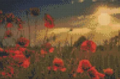 Diamond Art Valmuer/Natur 20X30Cm