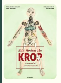 Din fantastiske krop - fra urtidsfisk til nutidsmenneske