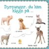 Dyreunger, du kan kigge på