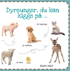 Dyreunger, du kan kigge på
