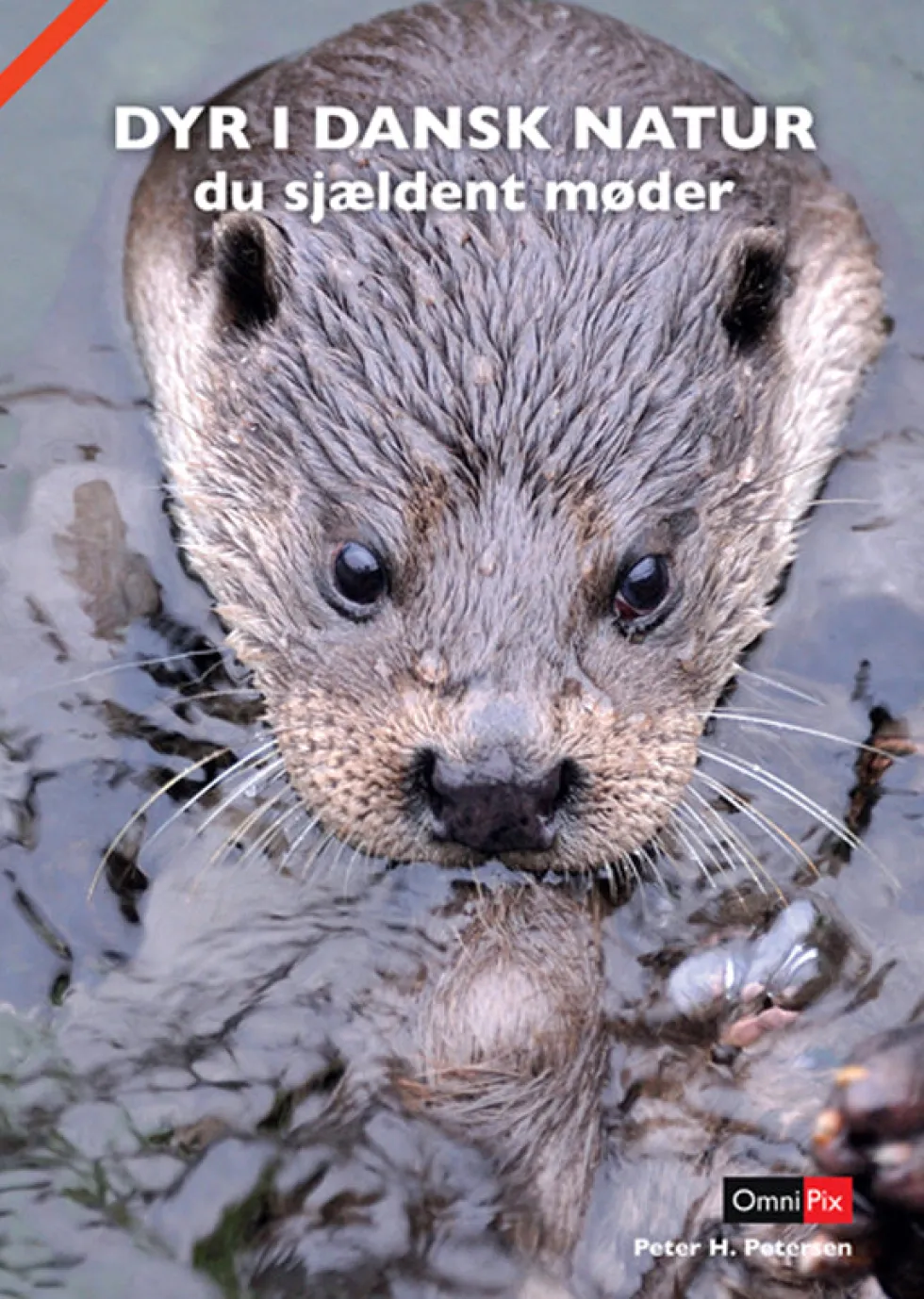 DYR I DANSK NATUR