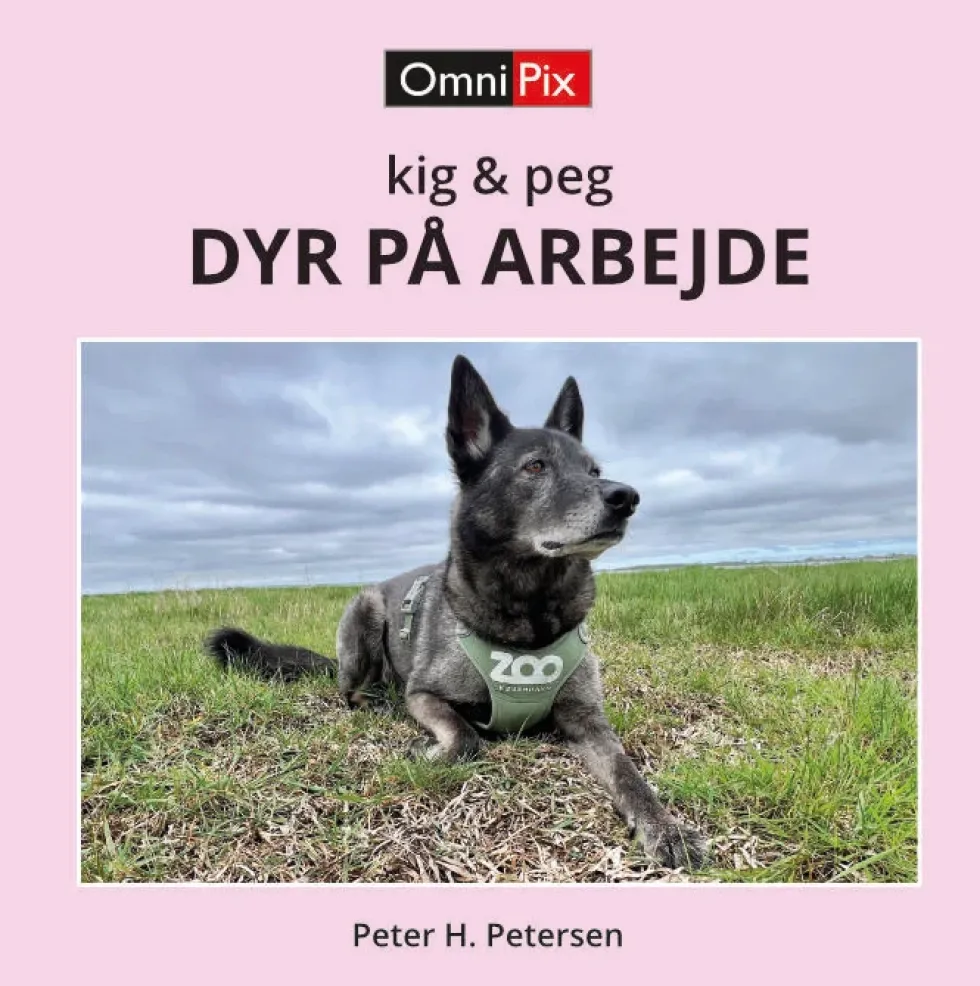 DYR PÅ ARBEJDE