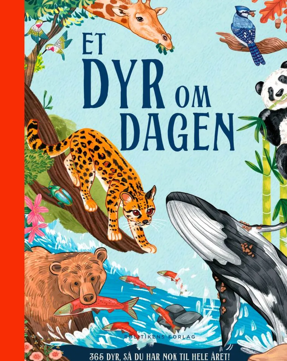 Et dyr om dagen
