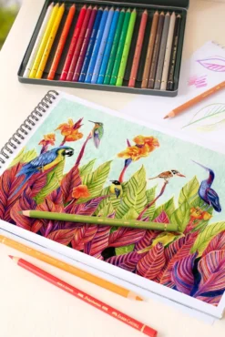 Farveblyant polychromos Faber-Castell 24 farver