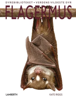 Flagermus
