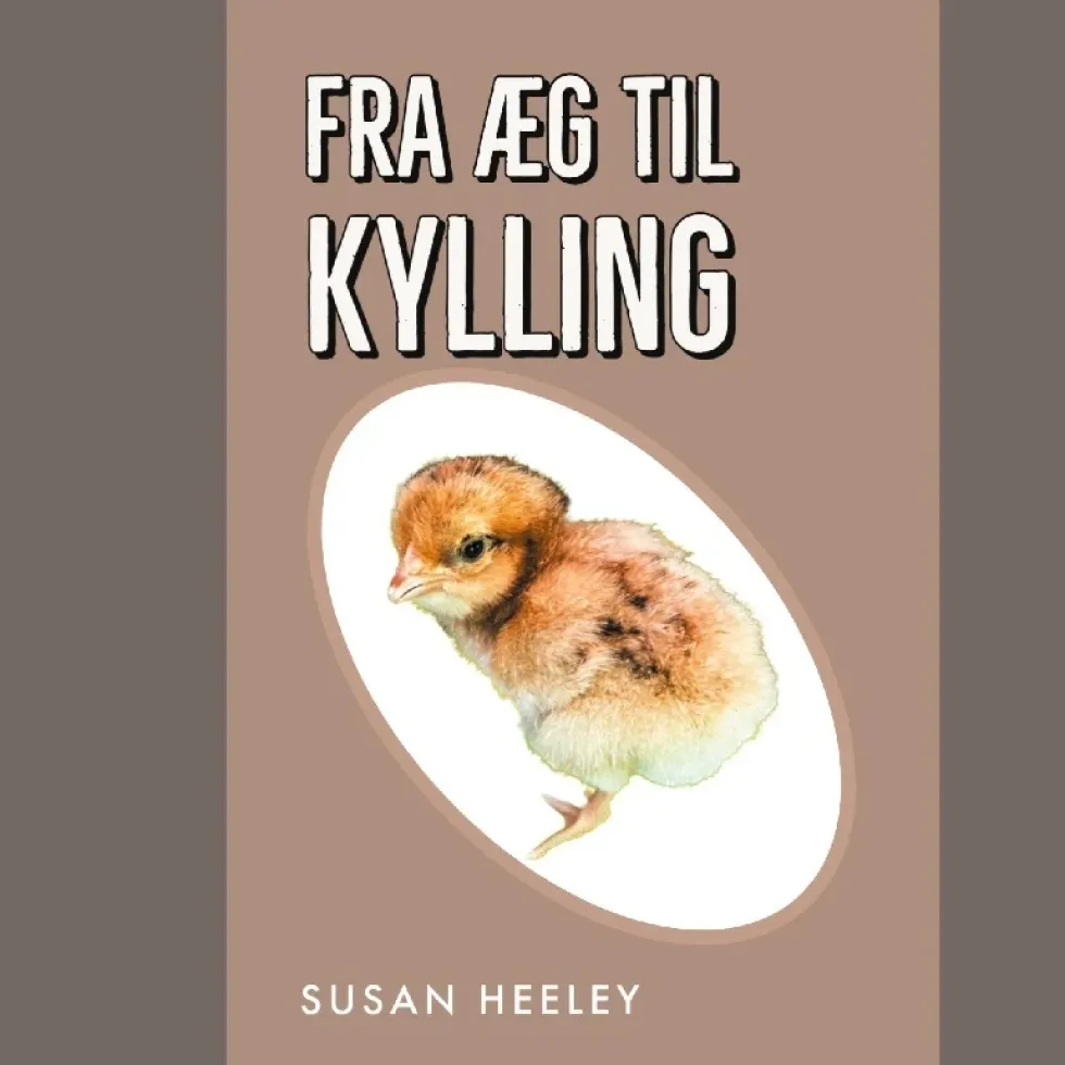 Fra æg til kylling