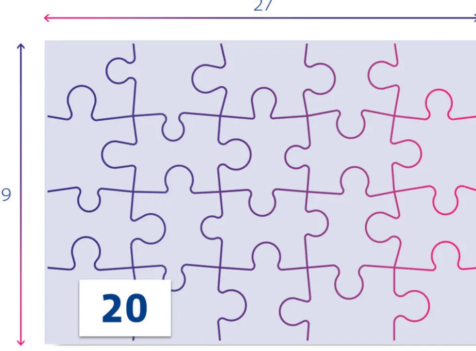 Frozen 2x20 brikker