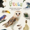 Fugle