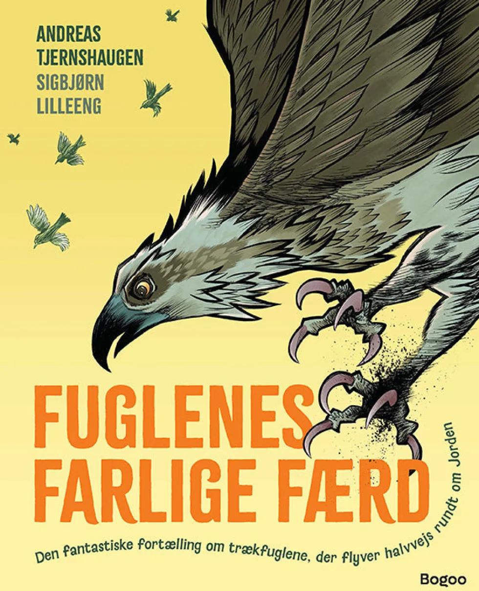 Fuglenes farlige færd