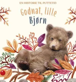 Godnat, lille Bjørn