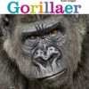 Gorillaer