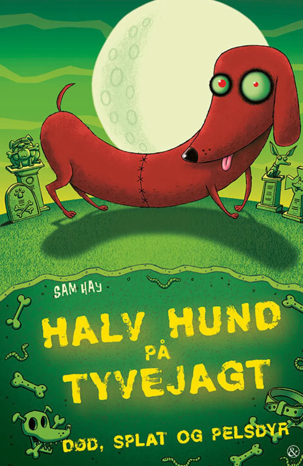 Halv hund på tyvejagt