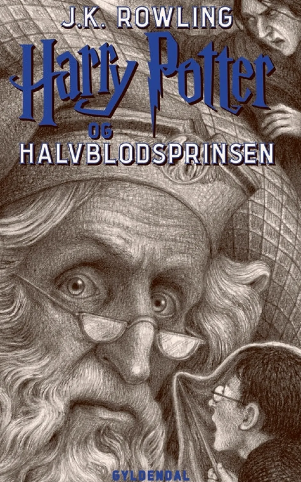Harry Potter 6 - Harry Potter og Halvblodsprinsen