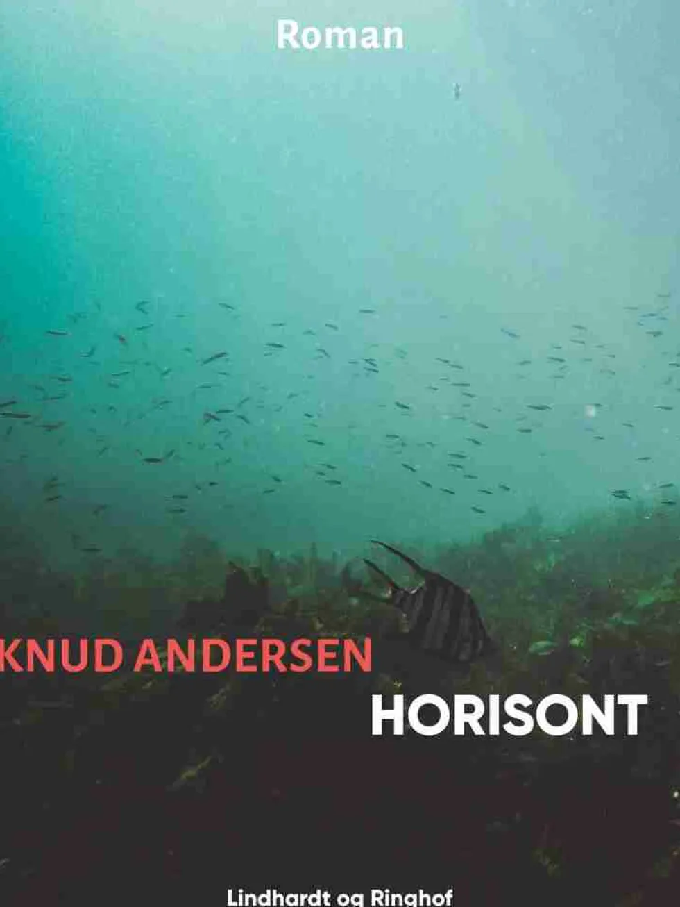 Horisont
