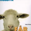 HUSDYR: Får