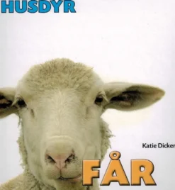 HUSDYR: Får