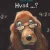 Hvad?