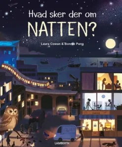 Hvad sker der om natten?