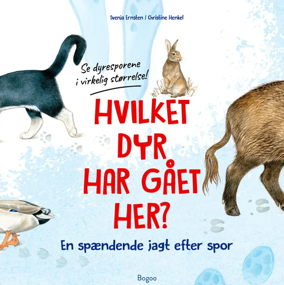 Hvilket dyr har gået her? Se dyresporene i virkelig størrelse!