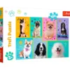 In the World of Dogs 100 brikker