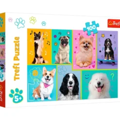 In the World of Dogs 100 brikker