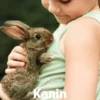Kanin, Grøn Fagklub