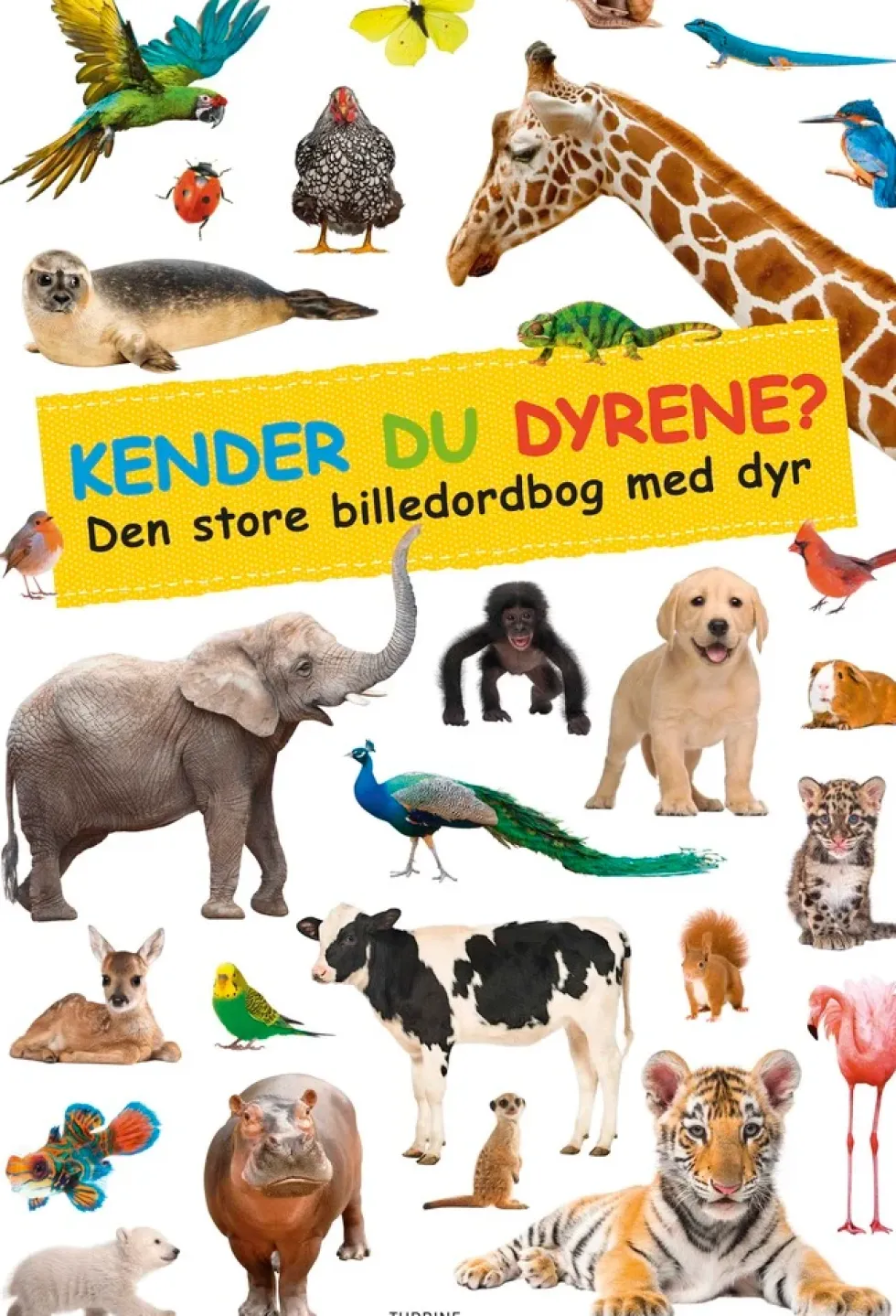 Kender du dyrene?