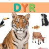 Kigge-pege-snakke: Dyr