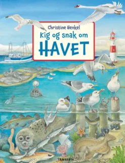 Kig og snak om havet