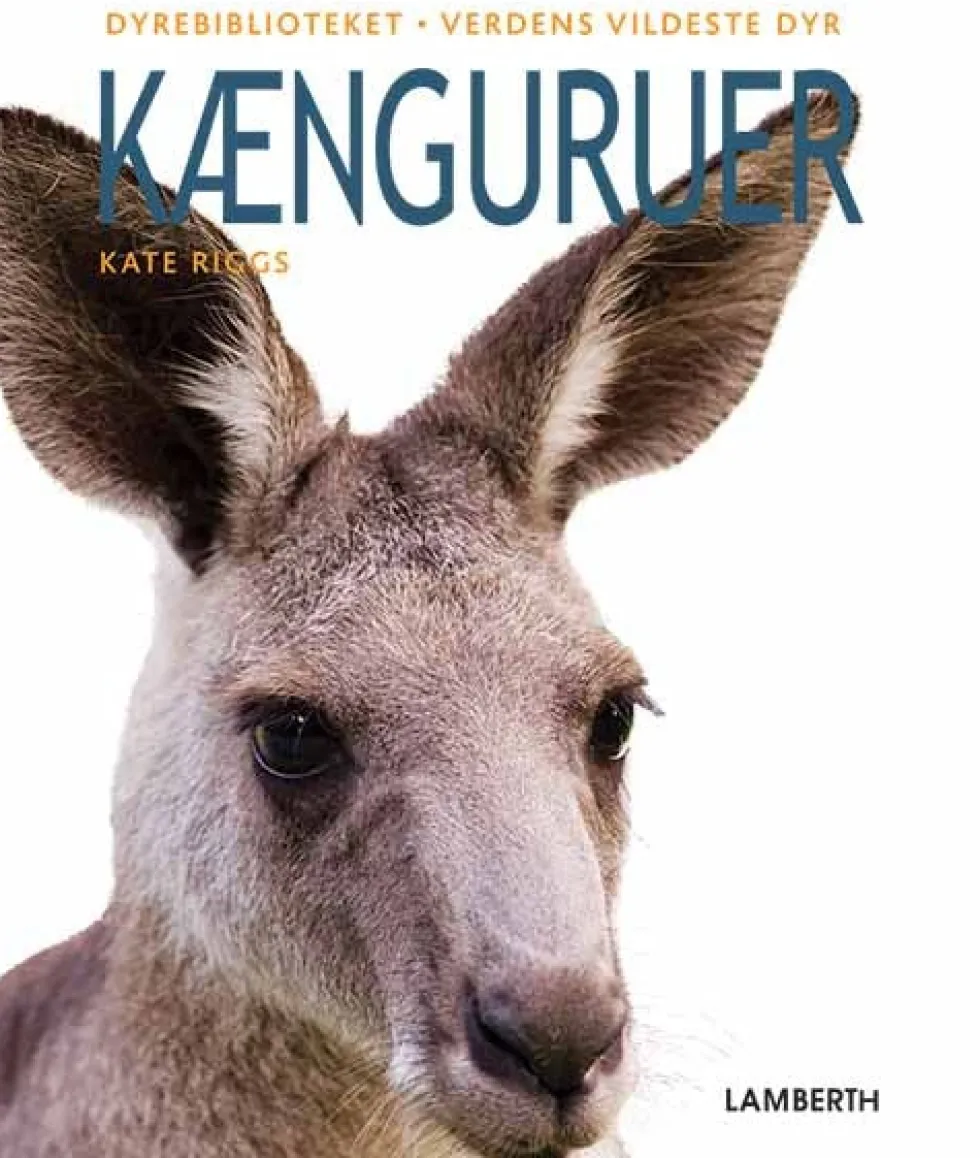 Kænguruer