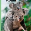 Koala, Grøn Fagklub