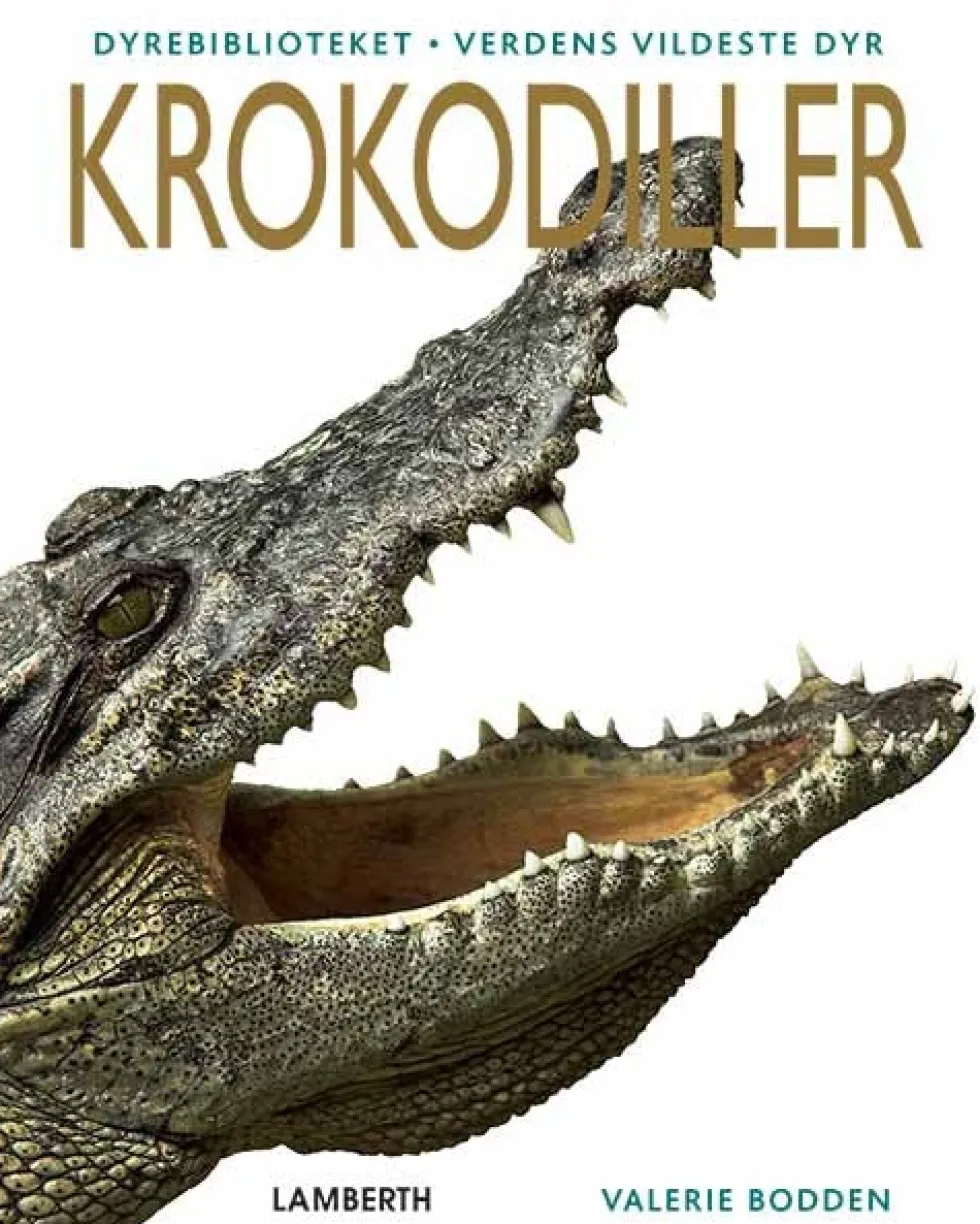 Krokodiller