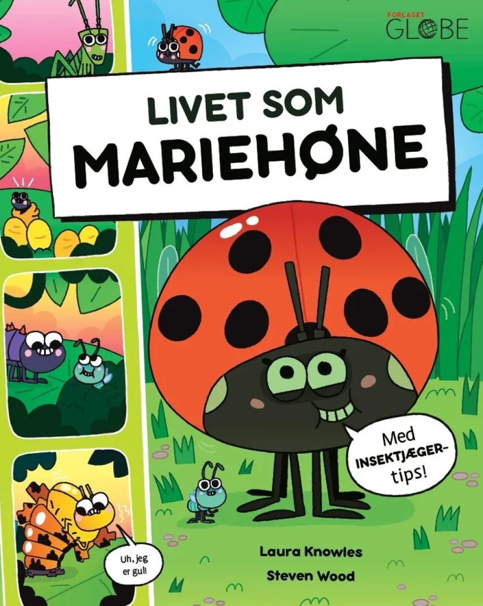 Livet som mariehøne