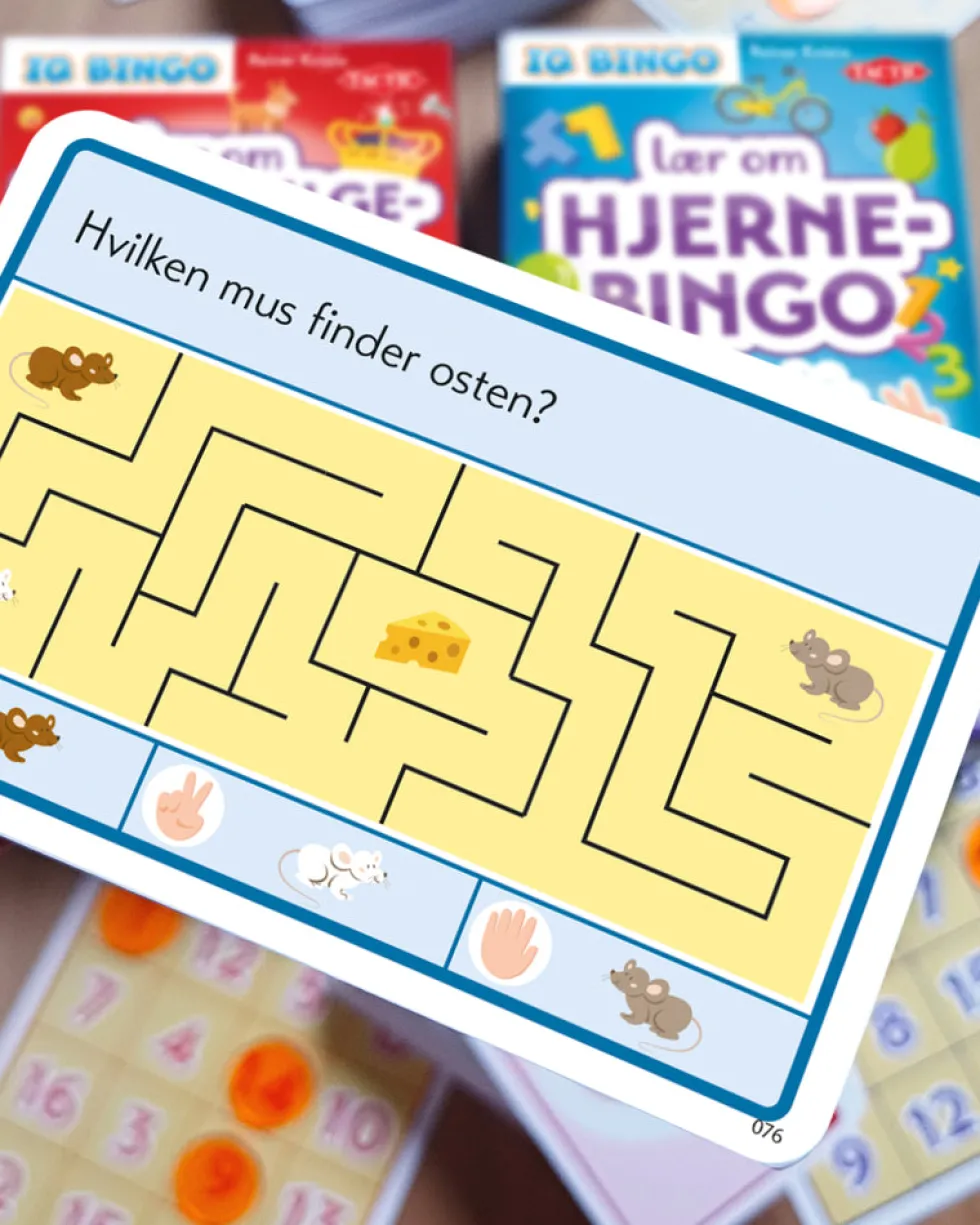 Lær Om Hjernebingo IQ Bingo