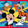 Mickey 2x20 brikker