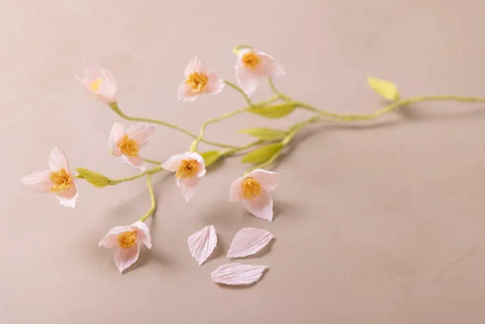 Mini DIY Kit Crepepapir