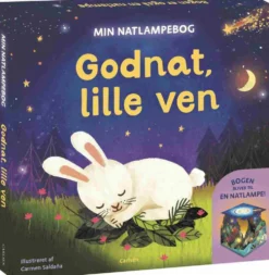 Min natlampebog