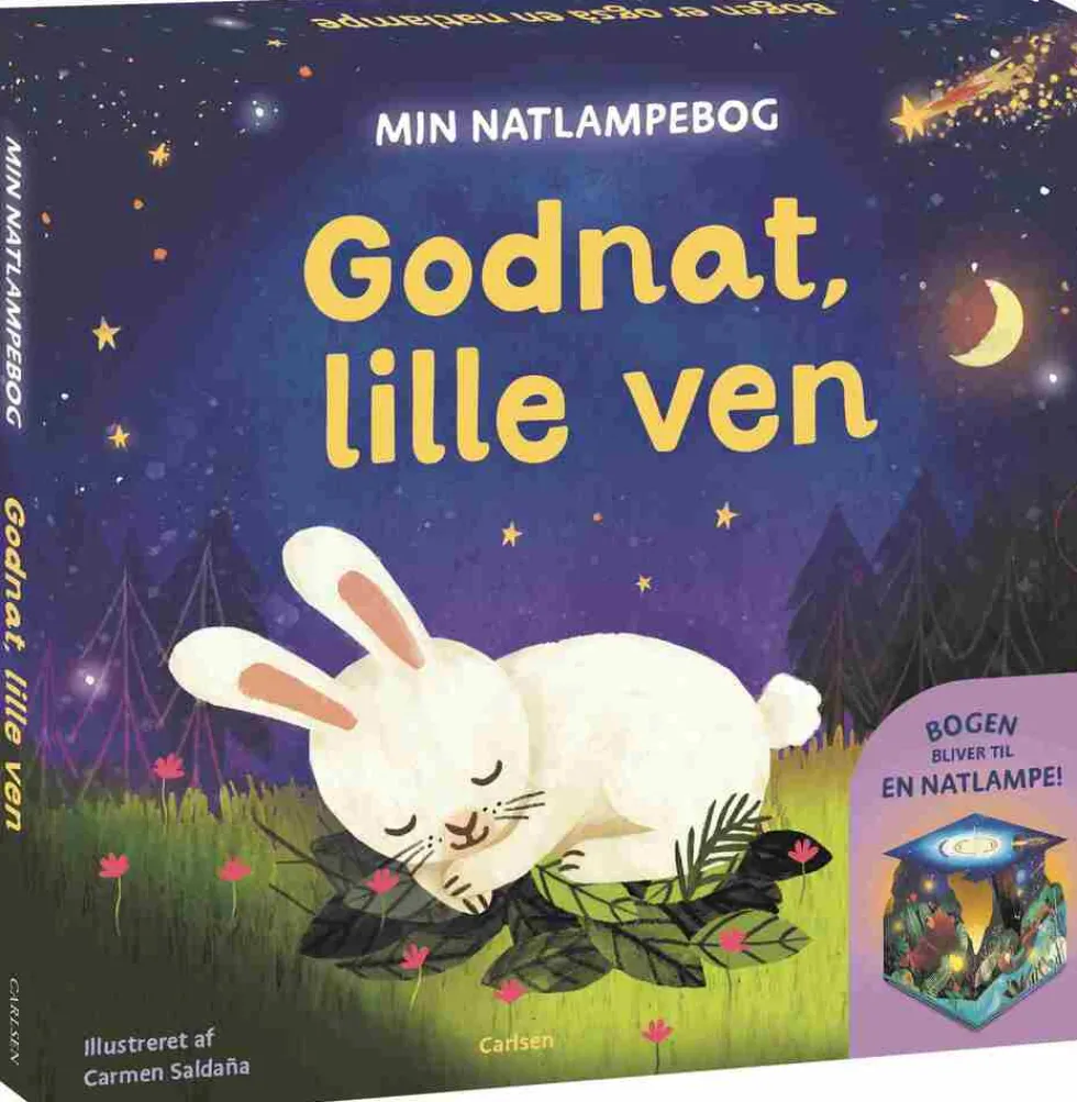 Min natlampebog