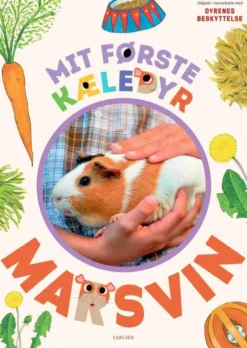 Mit første kæledyr - marsvin