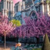 Notre Dame Cathedral of Paris 1000 brikker