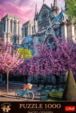 Notre Dame Cathedral of Paris 1000 brikker