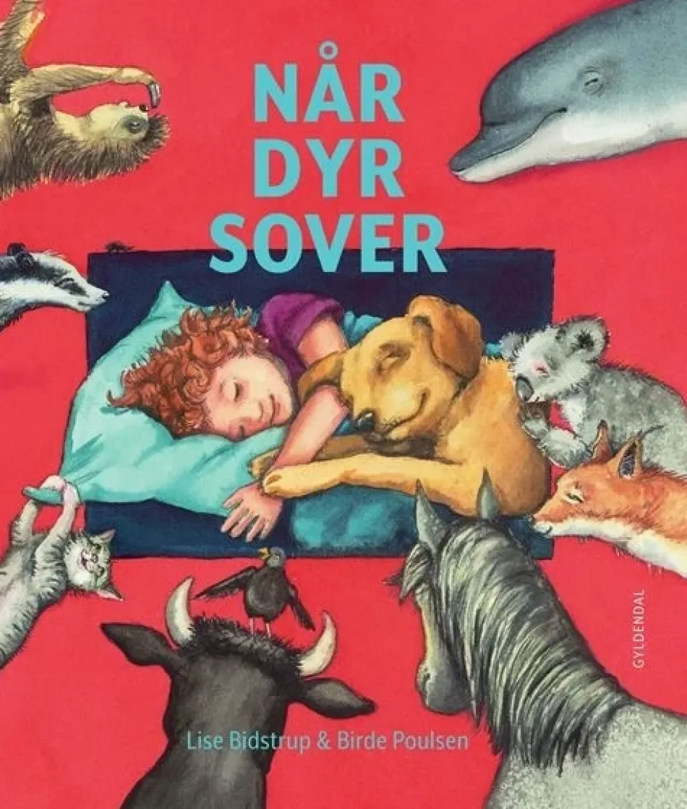 Når dyr sover