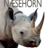 Næsehorn