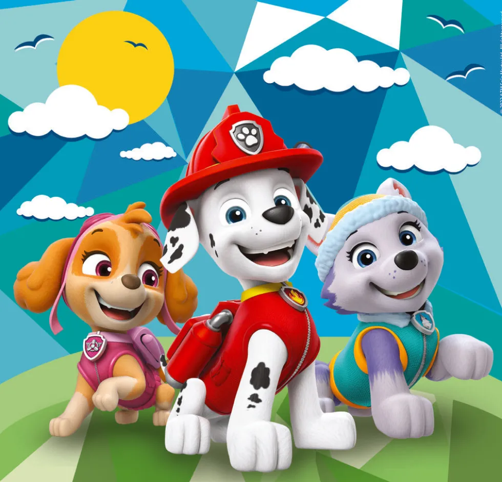 Paw Patrol 3x48 brikker